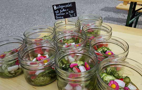 FrÃ¼hlings-Gurken-Radieschen-Salat mit GÃ¤nseblÃ¼mchen